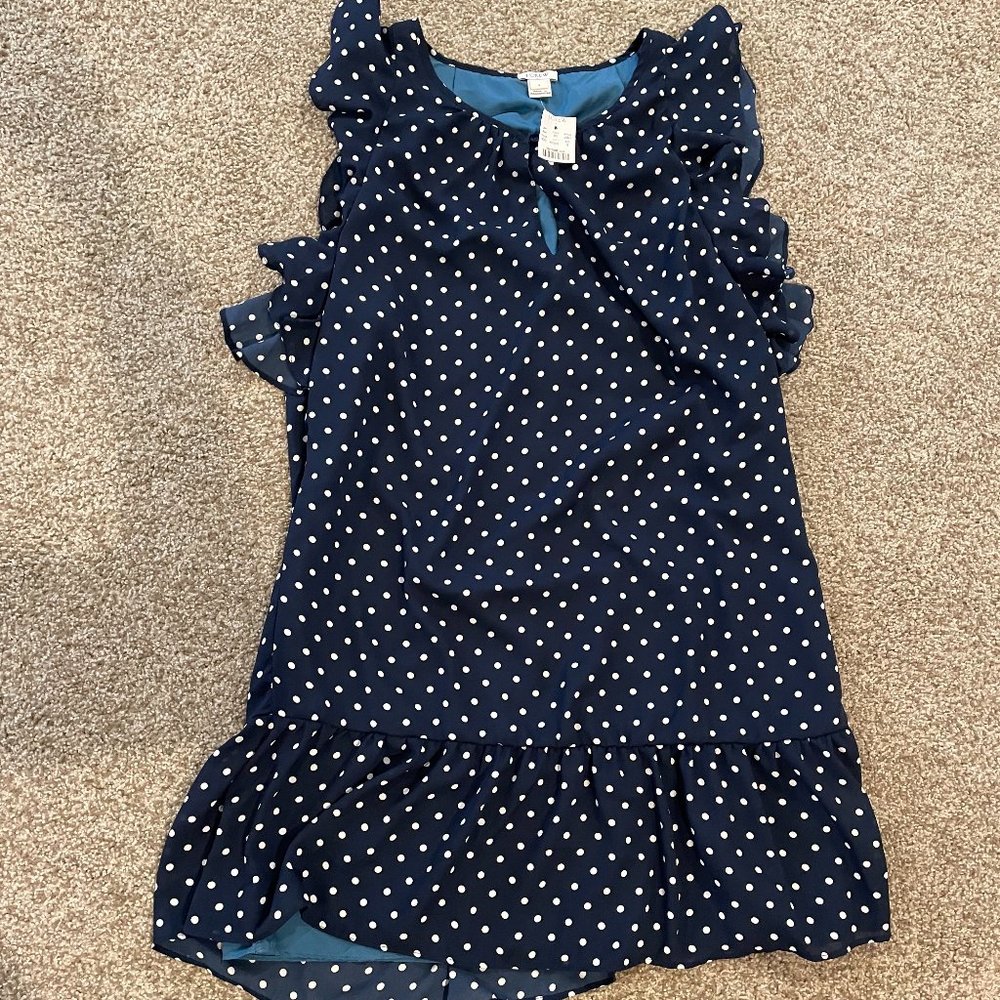 NWT J.Crew Polka Dot Shift Dress - Small